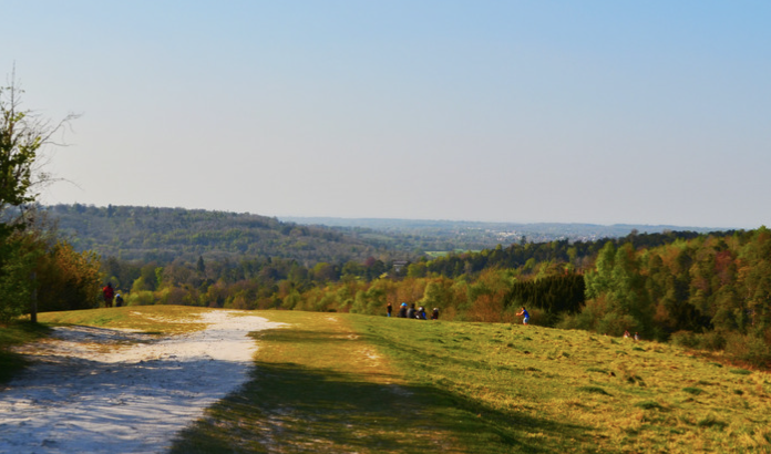 Box Hill